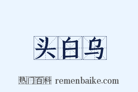 头白乌是什么意思的图片